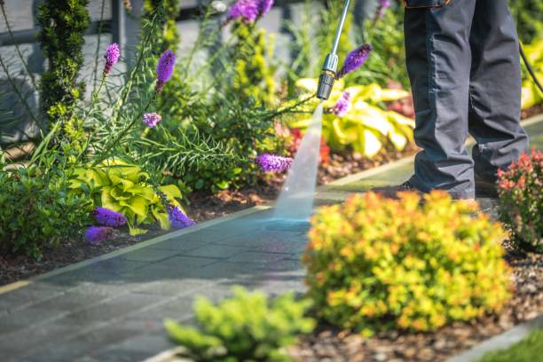 Best Gutter Cleaning  in Robinson, TX