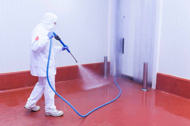 Best Building Exterior Washing  in Robinson, TX